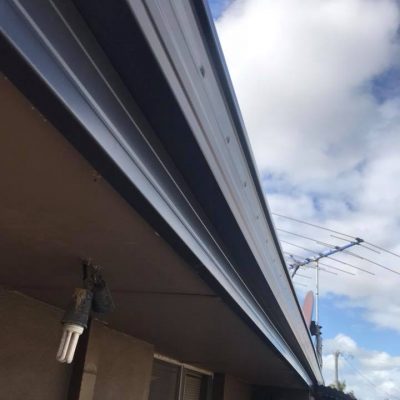 fascia